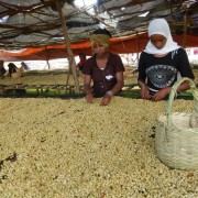 Five Elephant House Blend espresso 1 kg | CoffeeLove