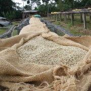 Five Elephant House Blend espresso 1 kg | CoffeeLove