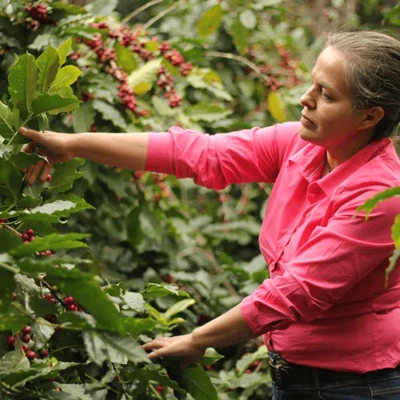 Audun Drip No. 2 filtr 1kg | CoffeeLove