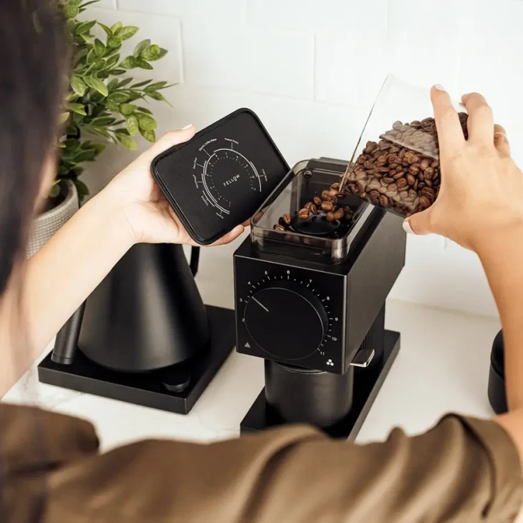 Fellow Ode 2 Brew Grinder | CoffeeLove