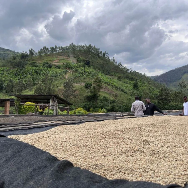 Muraho! Espresso & Crema Medium 1kg | CoffeeLove