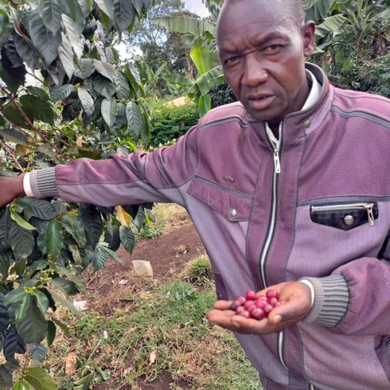 Gardelli Uganda Mzungu Project omniroast 250g  | CoffeeLove