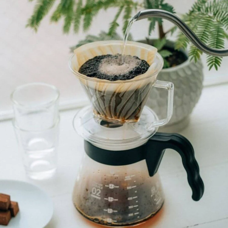 Hario Pegasus 02 | CoffeeLove