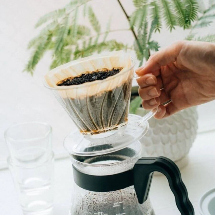 Hario Pegasus 03 | CoffeeLove