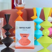 Coffee Plant Flow Blossom filtr 250 g | CoffeeLove