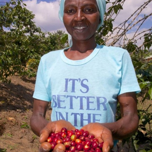 1000 Hills Muhabura Rwanda honey espresso 1kg kawa ziarnista Speciality | CoffeeLove