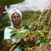 1000 Hills Muhabura Rwanda honey espresso 1kg kawa ziarnista Speciality | CoffeeLove