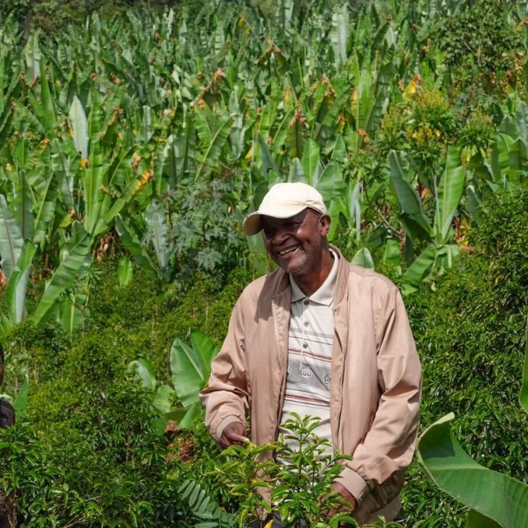 Coffee Collective Etiopia Bekele Anaerobic Natural filtr 200 g | CoffeeLove