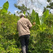 Coffee Collective Etiopia Bekele Anaerobic Natural filtr 200 g | CoffeeLove