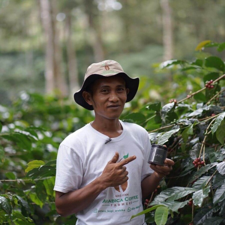 A.M.O.C. Coffee Indonezja Laurina filtr 100 g | CoffeeLove