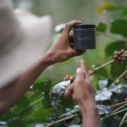 A.M.O.C. Coffee Indonezja Laurina filtr 100 g | CoffeeLove