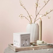 Moomin Green Tea Pineapple Tin | CoffeeLove