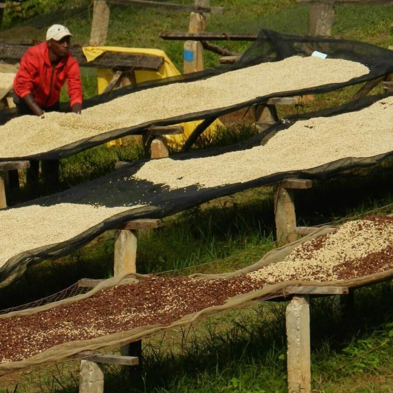 Nomad Coffee Burundi Gahahe filtr 250 g | CoffeeLove