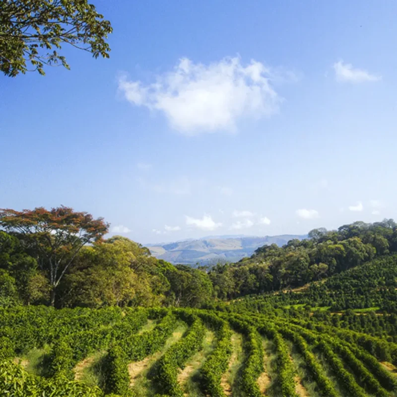 Audun Drip No. 1 filtr 1kg | CoffeeLove