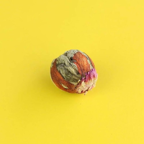 Herbata biała Xu Ri Dong Sheng rozkwitająca 8 g | CoffeeLove