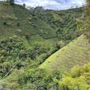 Kolumbia Typica Los Nogales Coffee 100 g | CoffeeLove