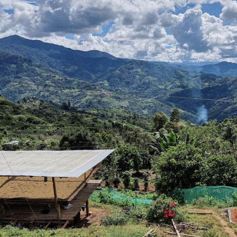 Father's Coffee Peru Jaén filtr 300 g | CoffeeLove