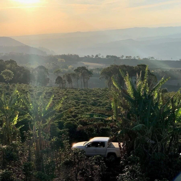 The Barn Brazylia Ivan Dos Santos 1 kg | CoffeeLove