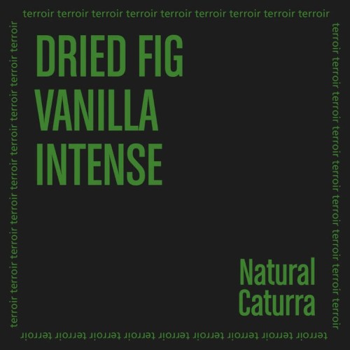 The Barn Costa Rica Volcan Azul 250 g | CoffeeLove