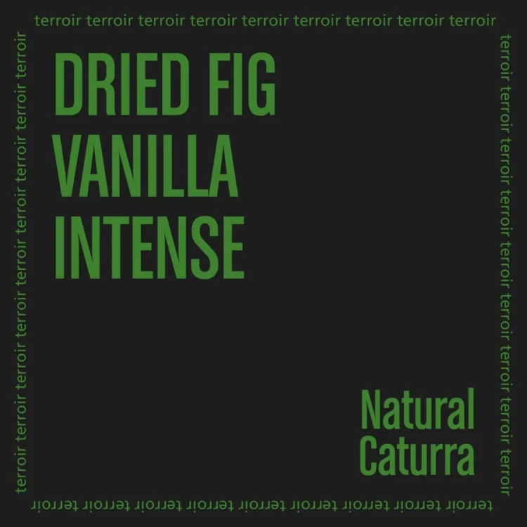 The Barn Costa Rica Volcan Azul 250 g | CoffeeLove