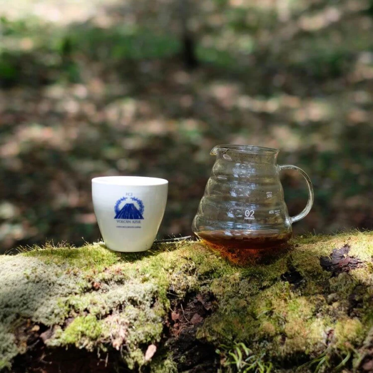 The Barn Costa Rica Volcan Azul 250 g | CoffeeLove