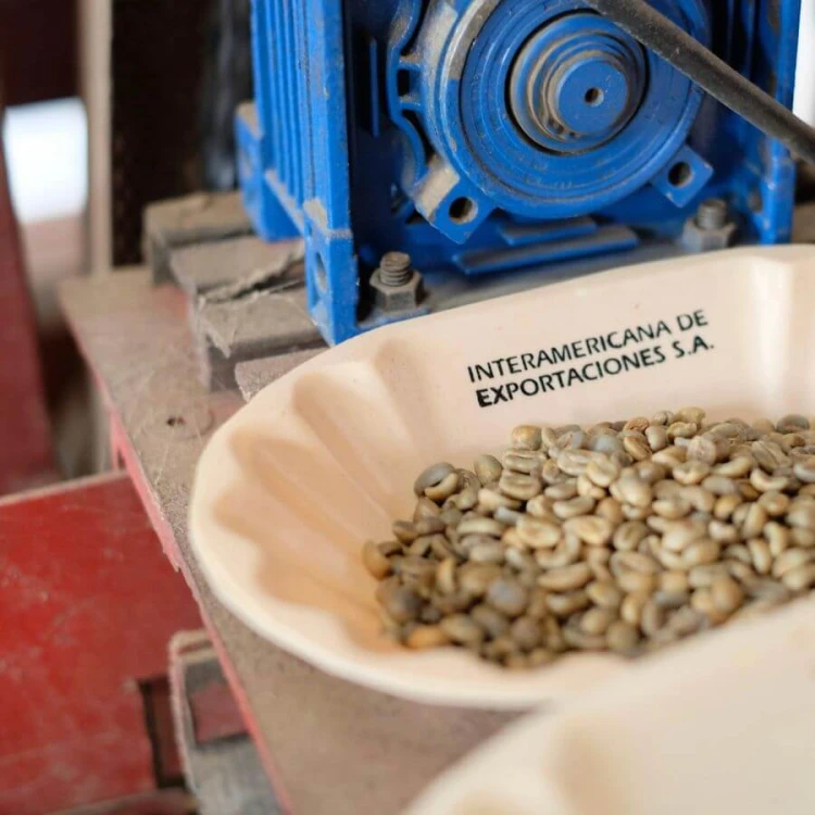 The Barn Costa Rica Volcan Azul 250 g | CoffeeLove