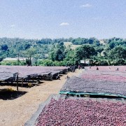 Father's Coffee Mother-Ship blend 1 kg | CoffeeLove
