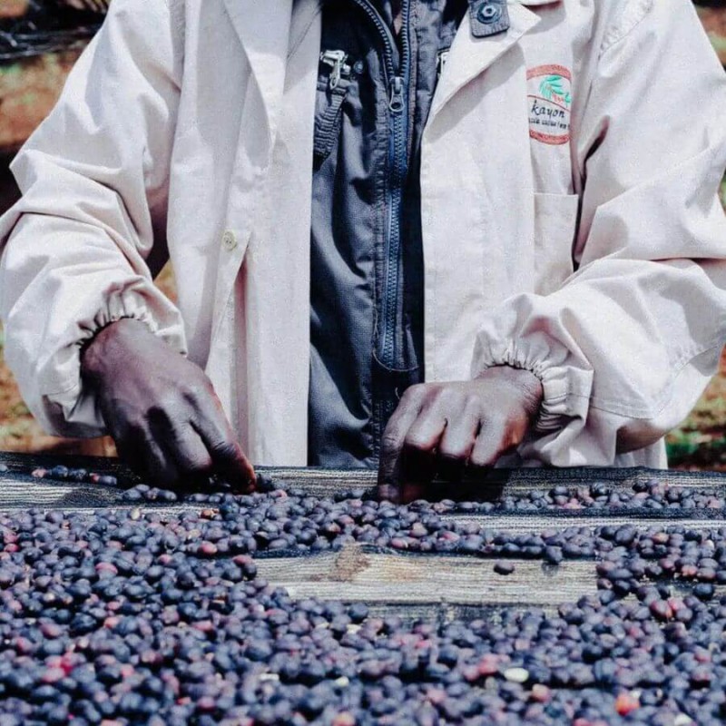 Father's Coffee Mother-Ship blend 1 kg | CoffeeLove