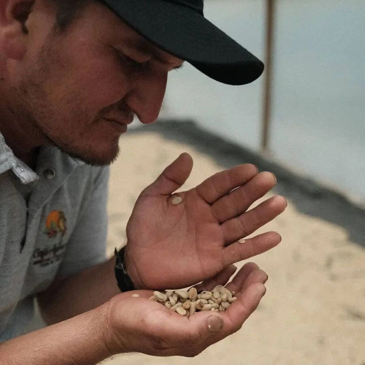 Father's Coffee Kolumbia Alex Rayo filtr 200 g | CoffeeLove