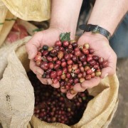 Father's Coffee Kolumbia Alex Rayo filtr 200 g | CoffeeLove