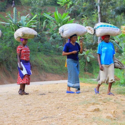 Nomad Coffee Rwanda Women's Crown 250 g | CoffeeLove