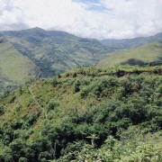Father's Coffee Peru Roger Chilcon filtr 250 g | CoffeeLove