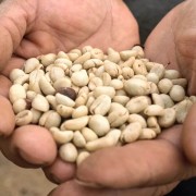 Gardelli Kolumbia Suukala omniroast 250 g | CoffeeLove