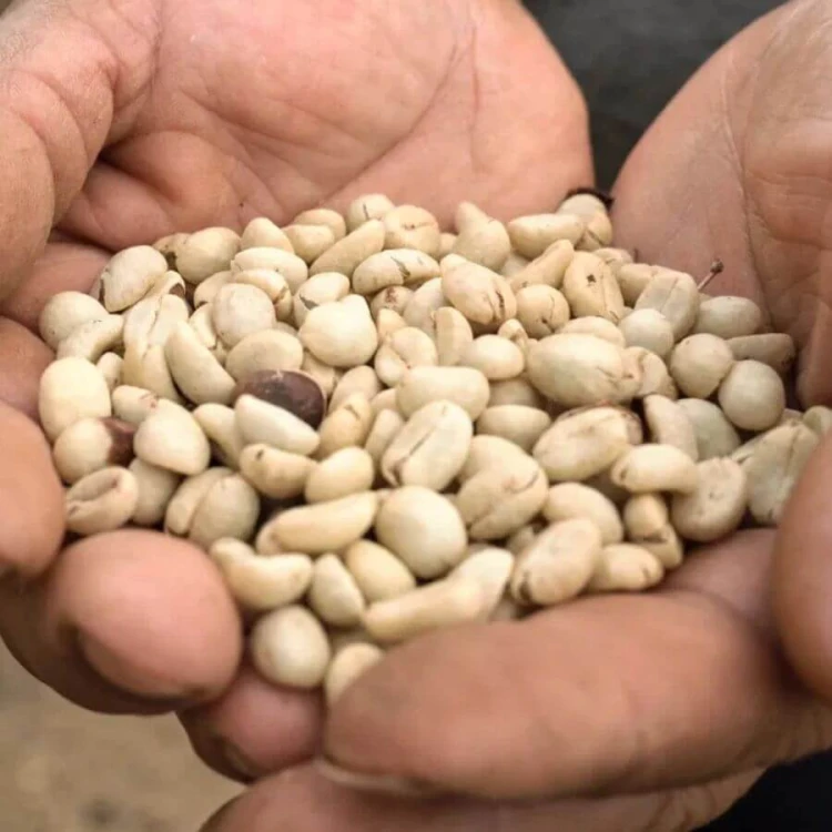 Gardelli Kolumbia Suukala omniroast 250 g | CoffeeLove