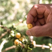 Gardelli Kolumbia Suukala omniroast 250 g | CoffeeLove