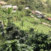 Gardelli Kolumbia Suukala omniroast 250 g | CoffeeLove