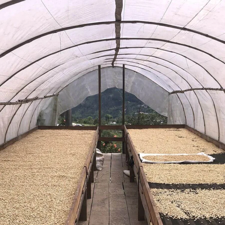 Gardelli Kolumbia Suukala omniroast 250 g | CoffeeLove