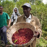 Coffee Collective Etiopia Bekele Honey filtr 250 g | CoffeeLove