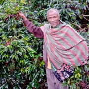 A.M.O.C. Coffee Etiopia /025 Mr. Ocholo Bedecho filtr 240 g | CoffeeLove