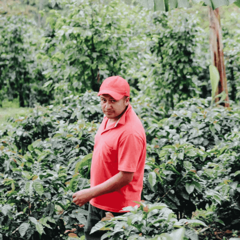 Fathers Coffee Kolumbia Inzá filtr 250 g | CoffeeLove