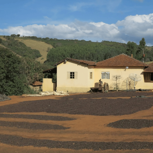 Brazylia Cascavel Vermelha 250 g | CoffeeLove