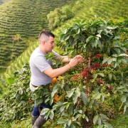 Nomad Coffee Kolumbia Sidra Las Flores filtr 250 g | CoffeeLove