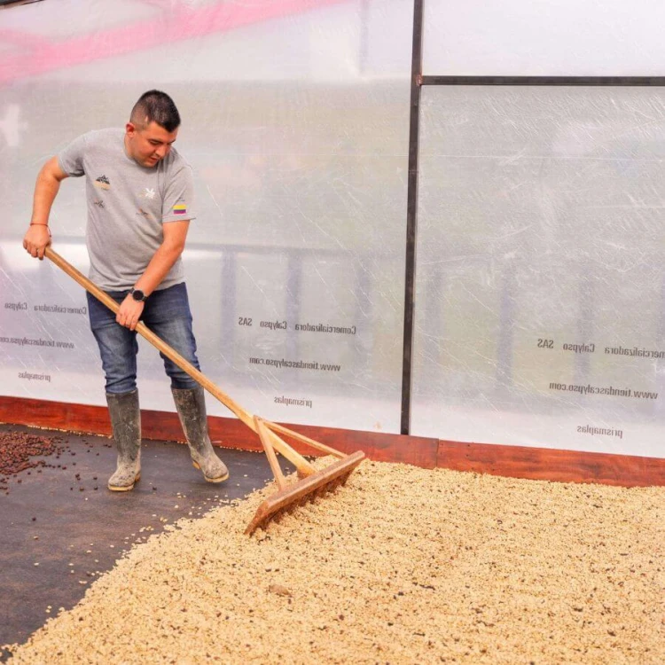 Nomad Coffee Kolumbia Sidra Las Flores filtr 250 g | CoffeeLove