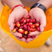 Nomad Coffee Kolumbia Sidra Las Flores filtr 250 g | CoffeeLove