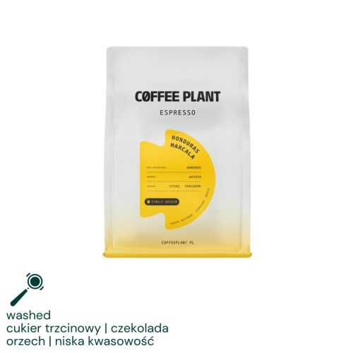 Coffee Plant Honduras Marcala 250 g | CoffeeLove