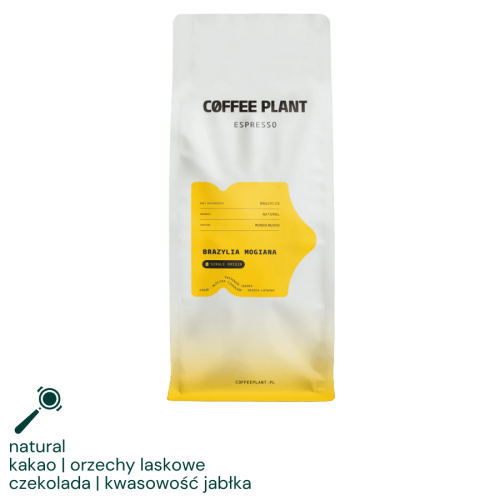 Coffee Plant Brazylia Mogiana 1 kg | CoffeeLove