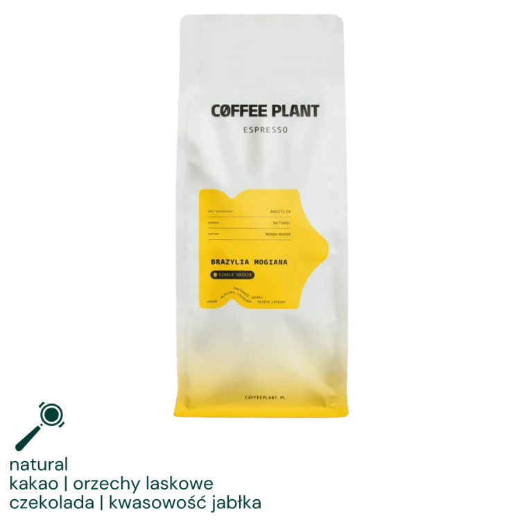 Coffee Plant Brazylia Mogiana 1 kg | CoffeeLove