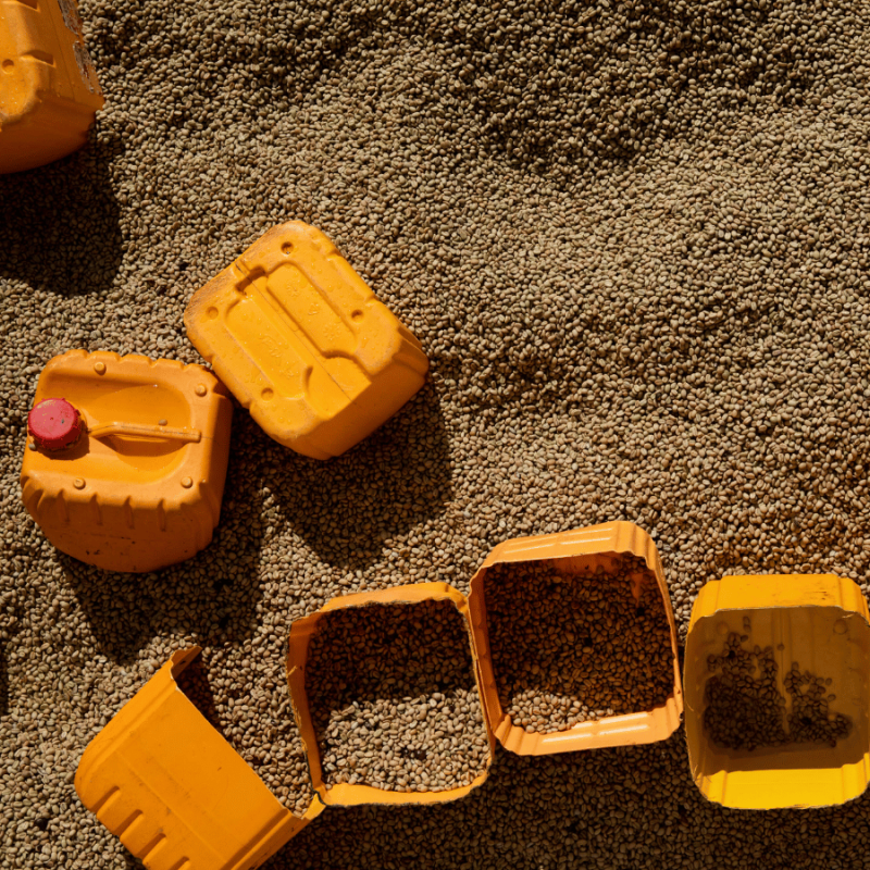 Audun Etiopia Chelbesa 250 g | CoffeeLove