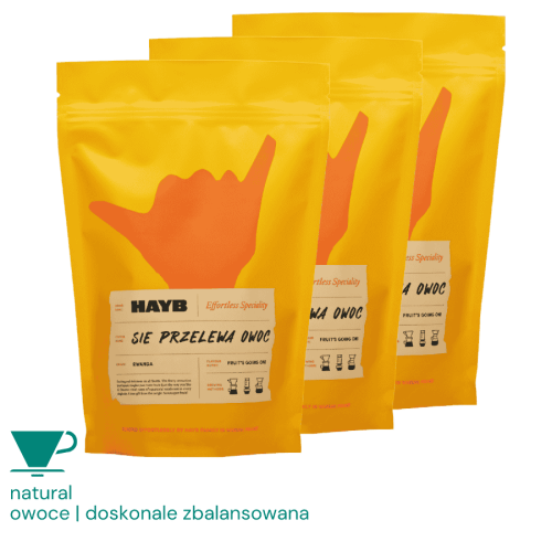 HAYB Się Przelewa Owoc filtr Zestaw 3 x 1 kg | CoffeeLove