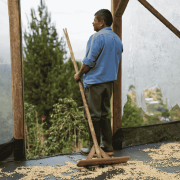 The Barn Kolumbia Finca El Faldon filter 250 g | CoffeeLove